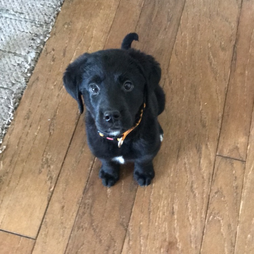 Meet your Posher, Kyle